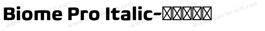 Biome Pro Italic字体转换